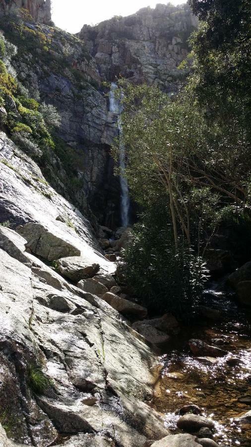Il giardino all'angolo Villacidro Esterno foto