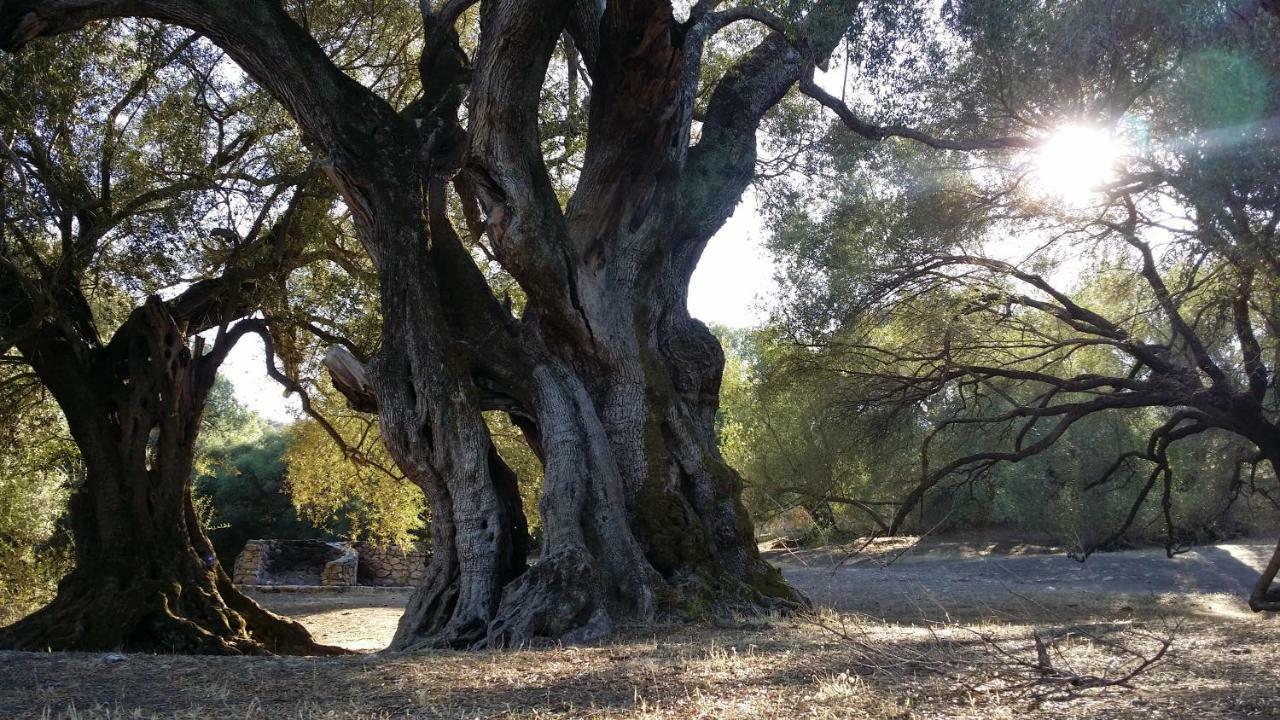 Il giardino all'angolo Villacidro Esterno foto