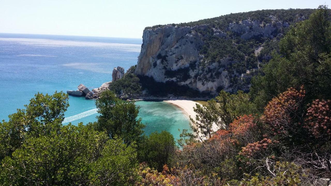 Il giardino all'angolo Villacidro Esterno foto