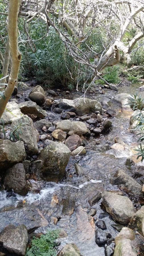 Il giardino all'angolo Villacidro Esterno foto