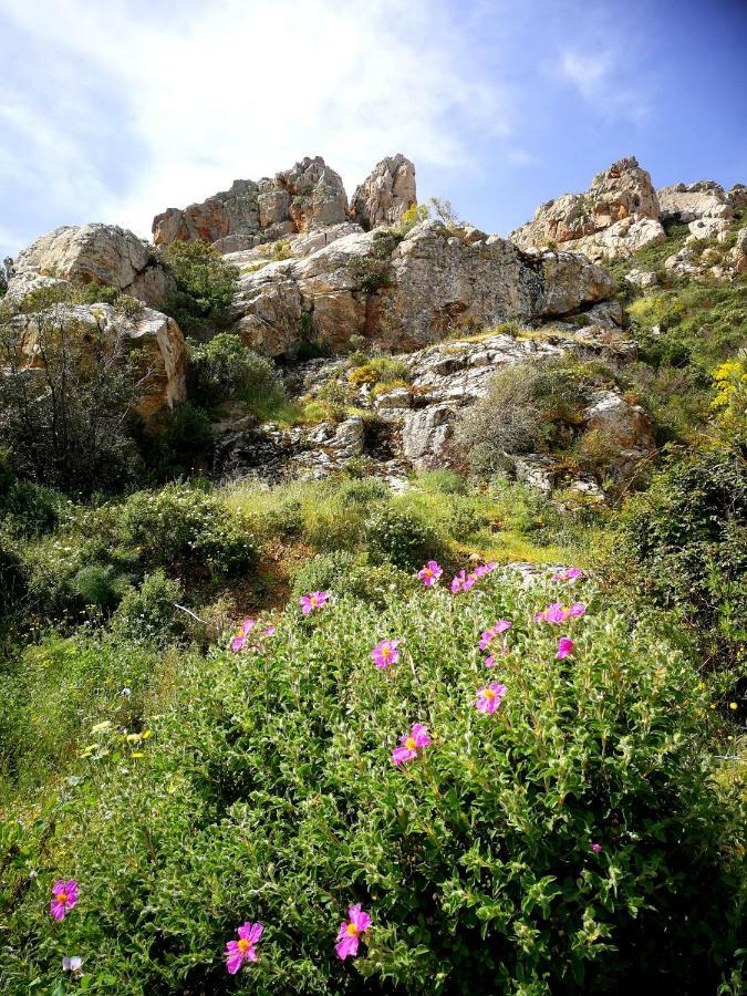 Il giardino all'angolo Villacidro Esterno foto